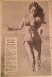 Vintage Erotica Forums - View Single Post - Ann Sidney